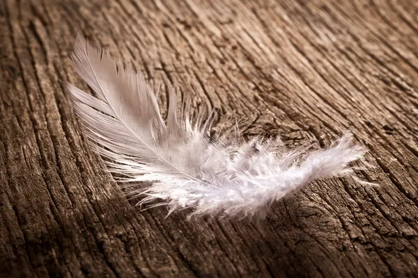 stock image Feather on old wooden desk