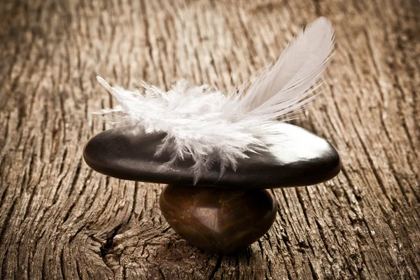 Feather on the stone — Stock Photo, Image