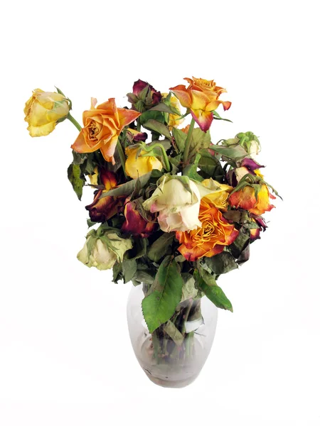 Bukiet suszonych róż — Zdjęcie stockowe