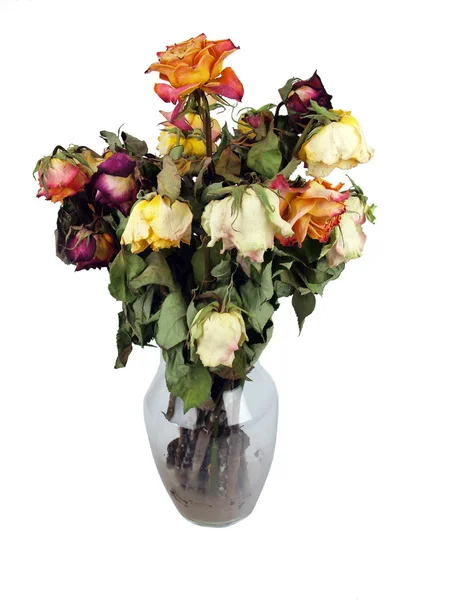 Bouquet de roses mortes — Photo