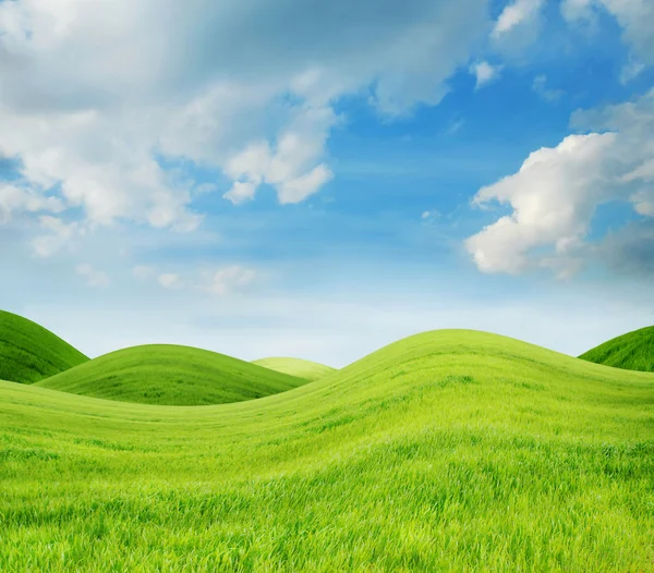 Paisagem de primavera idílica com grama verde fresca — Fotografia de Stock