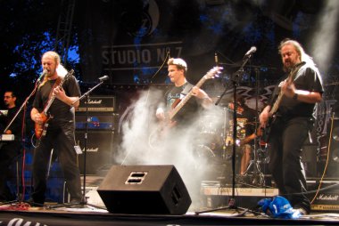 Bucovina Performing Live at Seawolves clipart