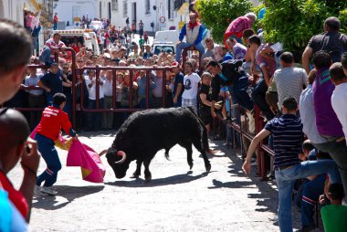 Running with the Bull clipart