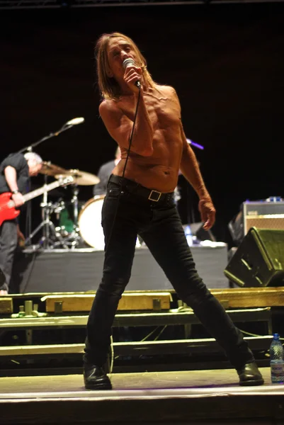 Iggy and The Stooges Live — Stock Photo, Image