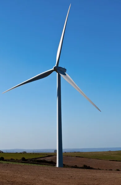 Одинарна вітрова турбіна в полі — стокове фото