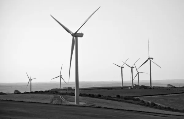 Campo de turbinas eólicas a preto e branco — Fotografia de Stock
