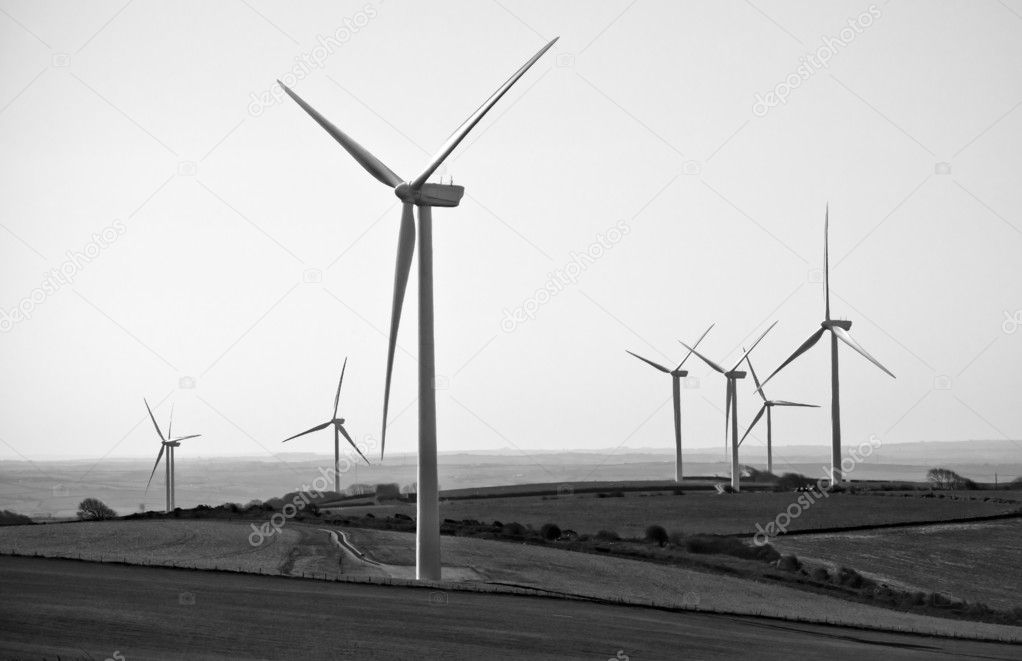 Field of wind turbines in black and white
