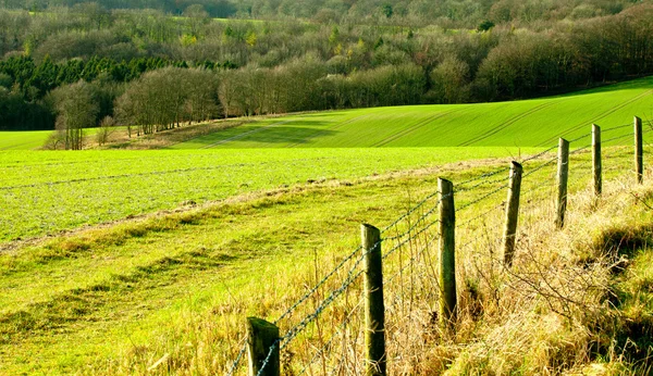 Paesaggio inglese attraverso campi con alba — Foto Stock