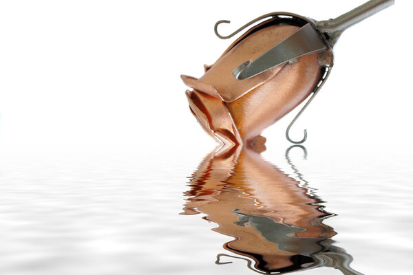 Steel rose reflecting in water with a small ripple