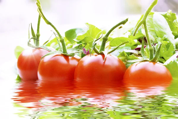 Tomates fraîches de vigne dans l'eau ondulée — Photo