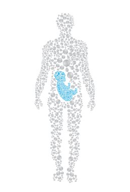 Human pregnant body silhouette clipart