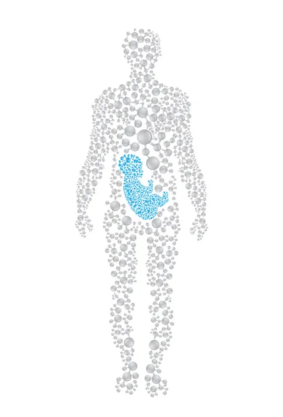 Menselijk zwanger lichaam silhouet — Stockvector