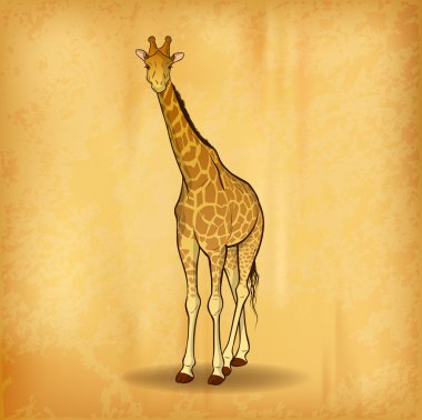 Giraffe clipart