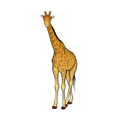 Giraffe clipart