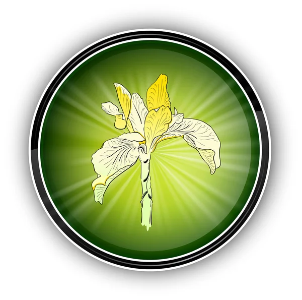 Groene symbool — Stockvector