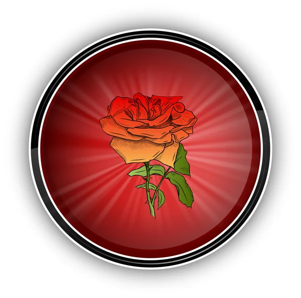 Rosa roja — Vector de stock