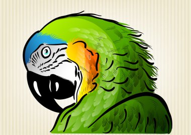 Green parrot clipart