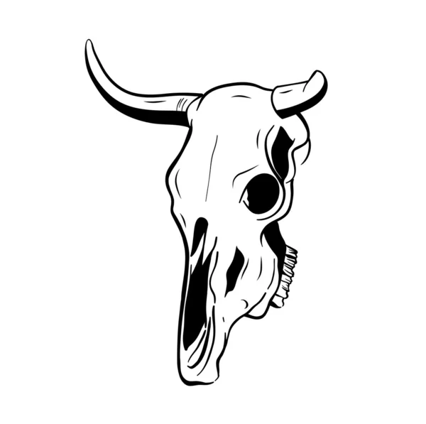 Crânio animal — Vetor de Stock