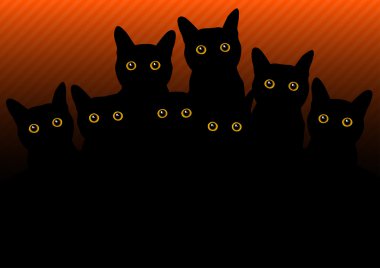 Kara Kediler