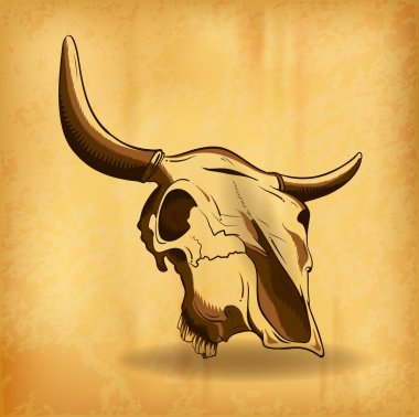 Bull skull clipart