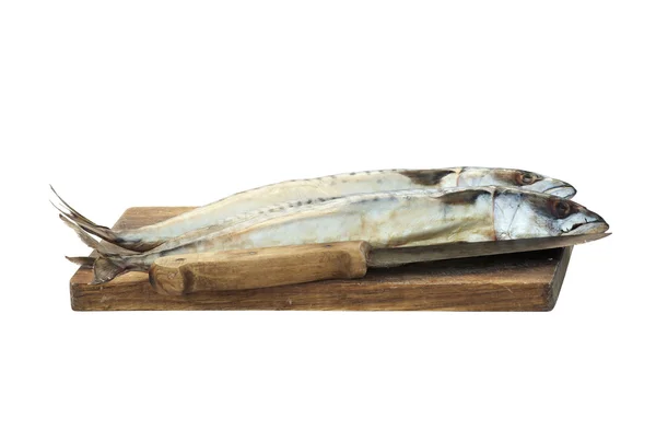 Fresh mackerels — Stok fotoğraf