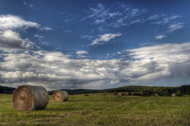 Haymaking time clipart