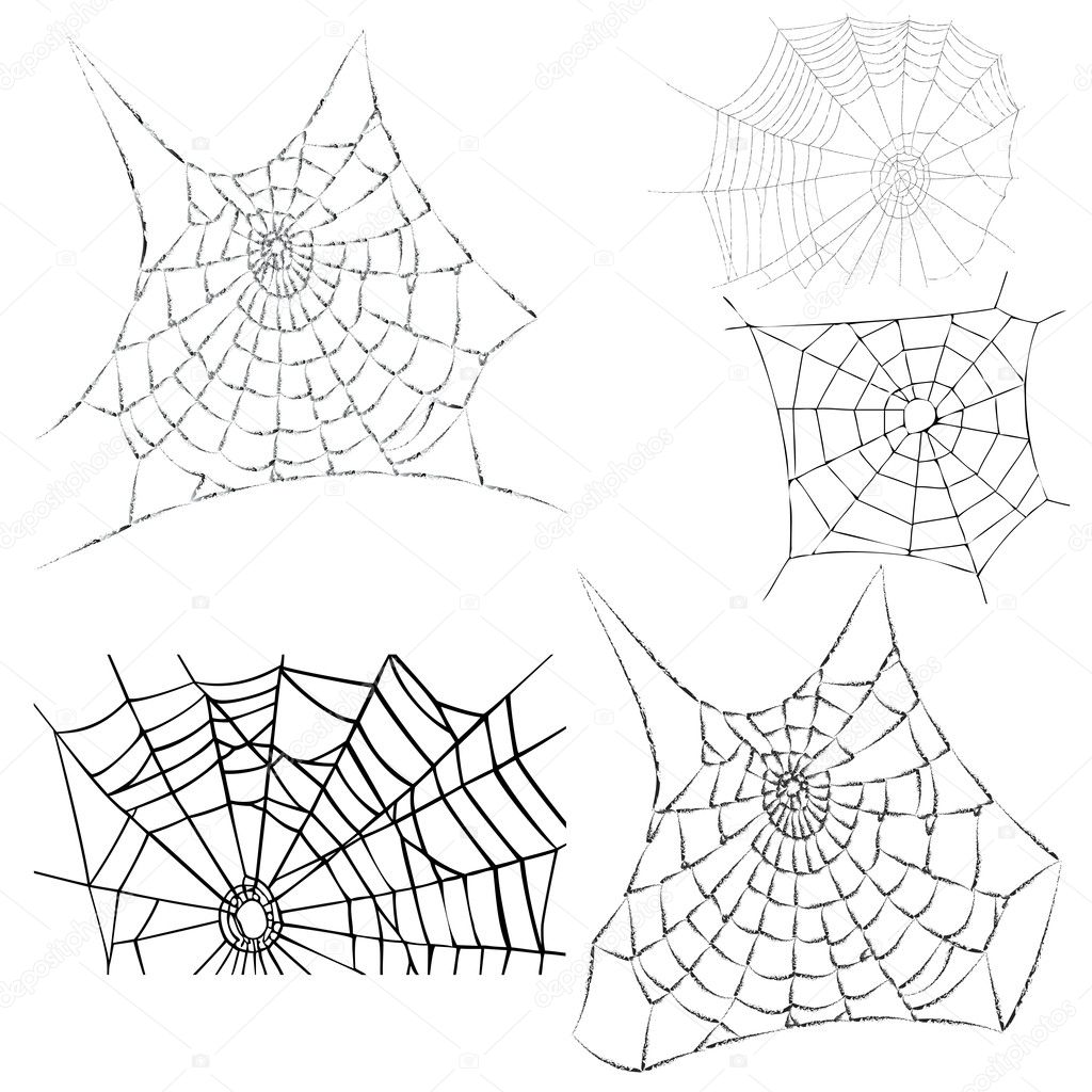 Cobwebs - vector