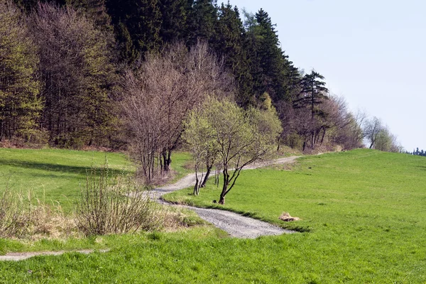 Zigzag estrada de campo — Fotografia de Stock