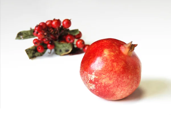 赤い果実 — ストック写真