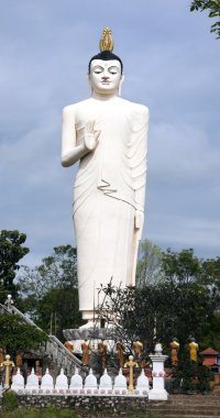 Standing Buddha clipart