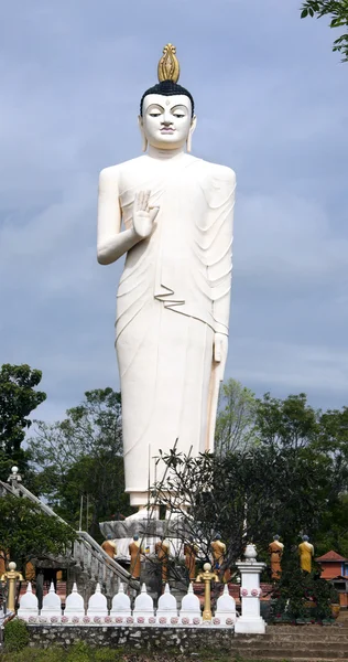 Buda de pé — Fotografia de Stock
