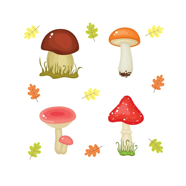 Mushrooms — Stock Vector