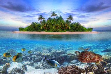 Tropical island of Maldives clipart