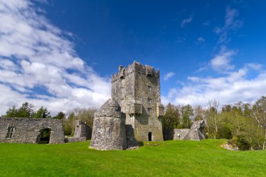 Aughnanure Castle in Co. Galway clipart