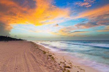 Idyllic beach of Caribbean Sea clipart