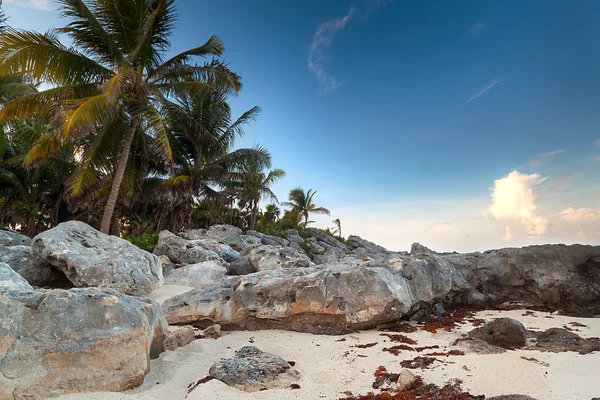 令人惊叹的日落在加勒比海 — 图库照片
