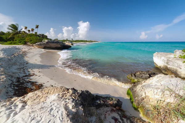 멕시코에서 카리브 해의 해변 — 스톡 사진