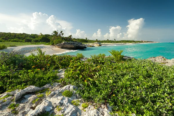 Plaży nad Morzem Karaibskim, w Meksyku — Zdjęcie stockowe