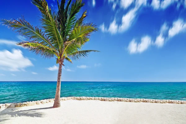 Idyllische landschap van de Caribische zee — Stockfoto