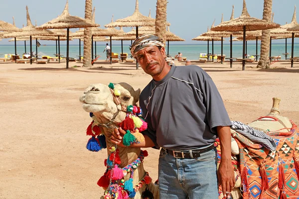 Бедуин и его верблюд — стоковое фото