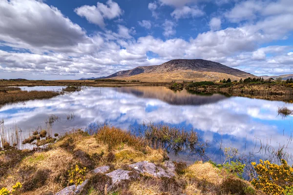 Connemara dağ ve göl manzarası — Stok fotoğraf