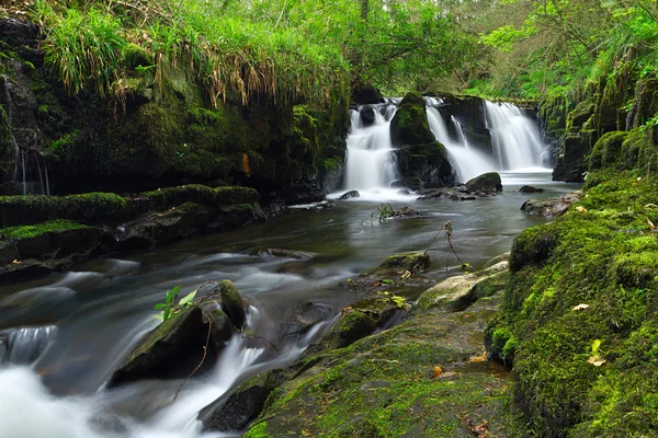 Bela cachoeira de Clare Glens — Fotografia de Stock