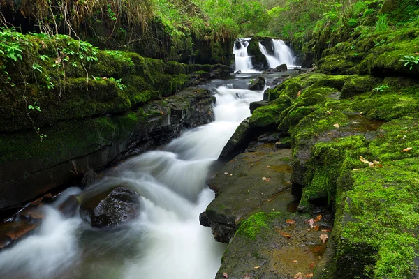 Beautiful waterfall of Clare Glens — Stock Photo, Image