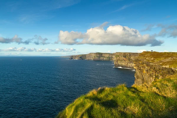 Cliffs of Moher in Co. Clare — Stock Photo, Image