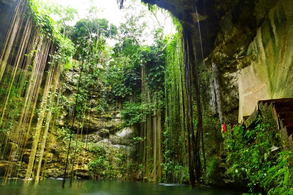 Ik-Kil Cenote cerca de Chichén Itzá — Foto de Stock