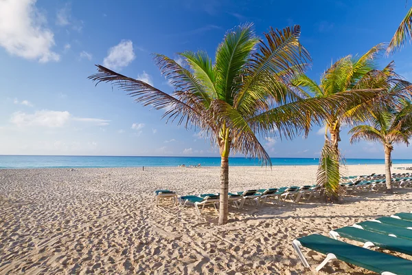 Idyllic beach at the Caribbean sea — Stok fotoğraf