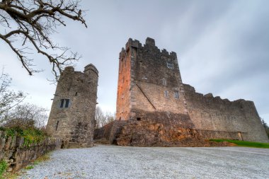 Ross Castle near Killarne clipart