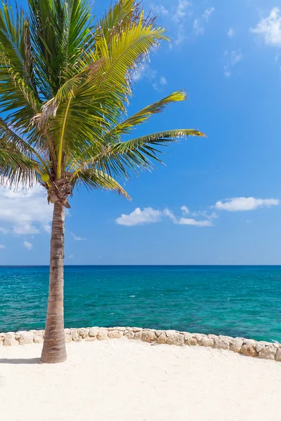 Фельдена пейзажі Карибського моря — стокове фото