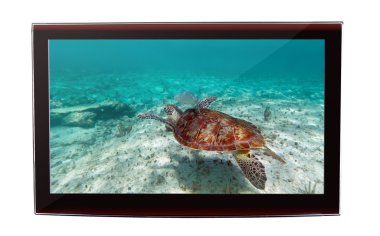 şnorkel Yeşil Kaplumbağa ile LCD tv göstermek