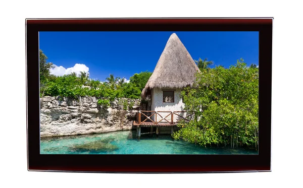Orman manzarası ile LCD tv göstermek — Stok fotoğraf